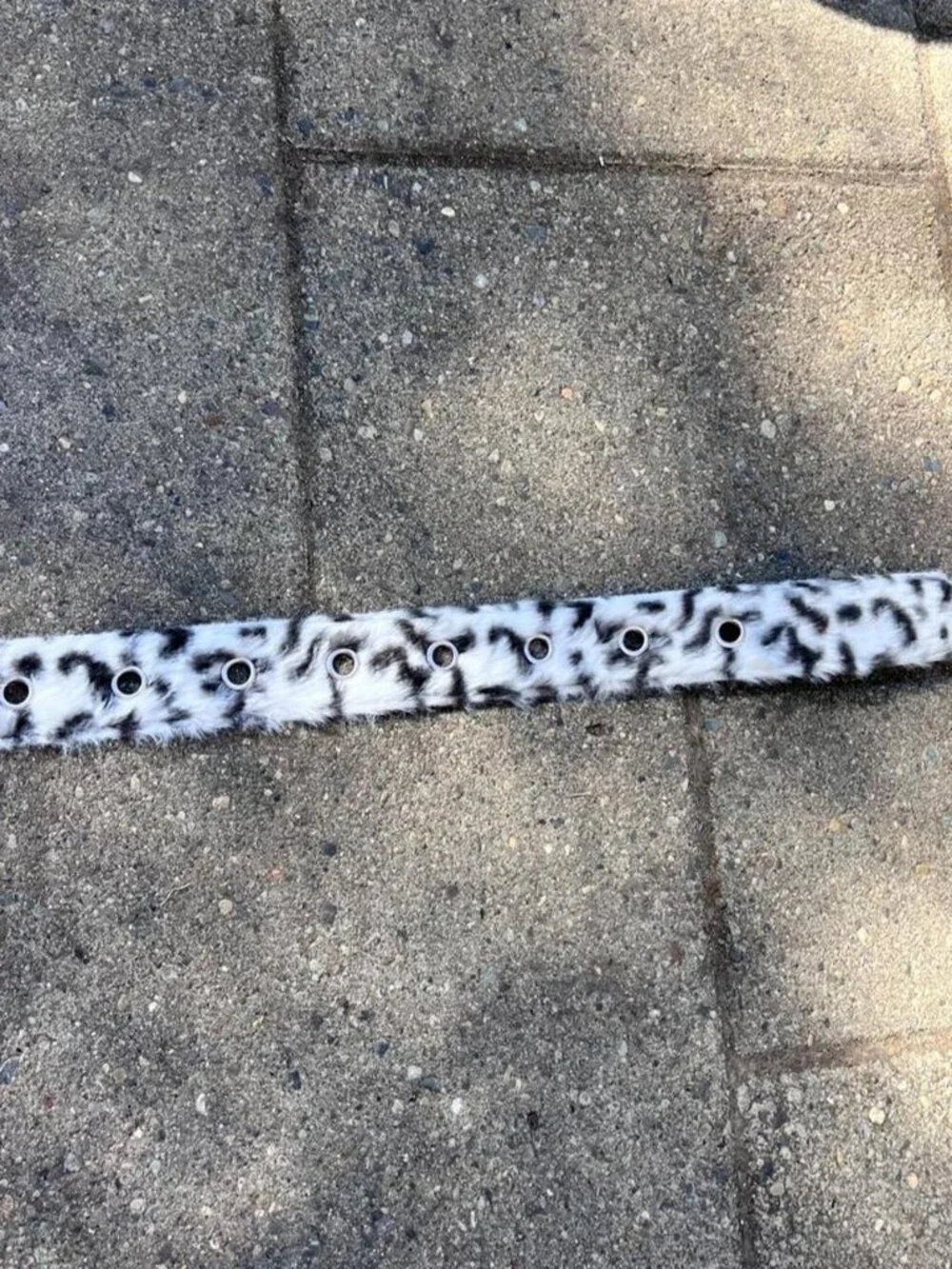 Leopard Print Belt with Single-Prong Buckle
